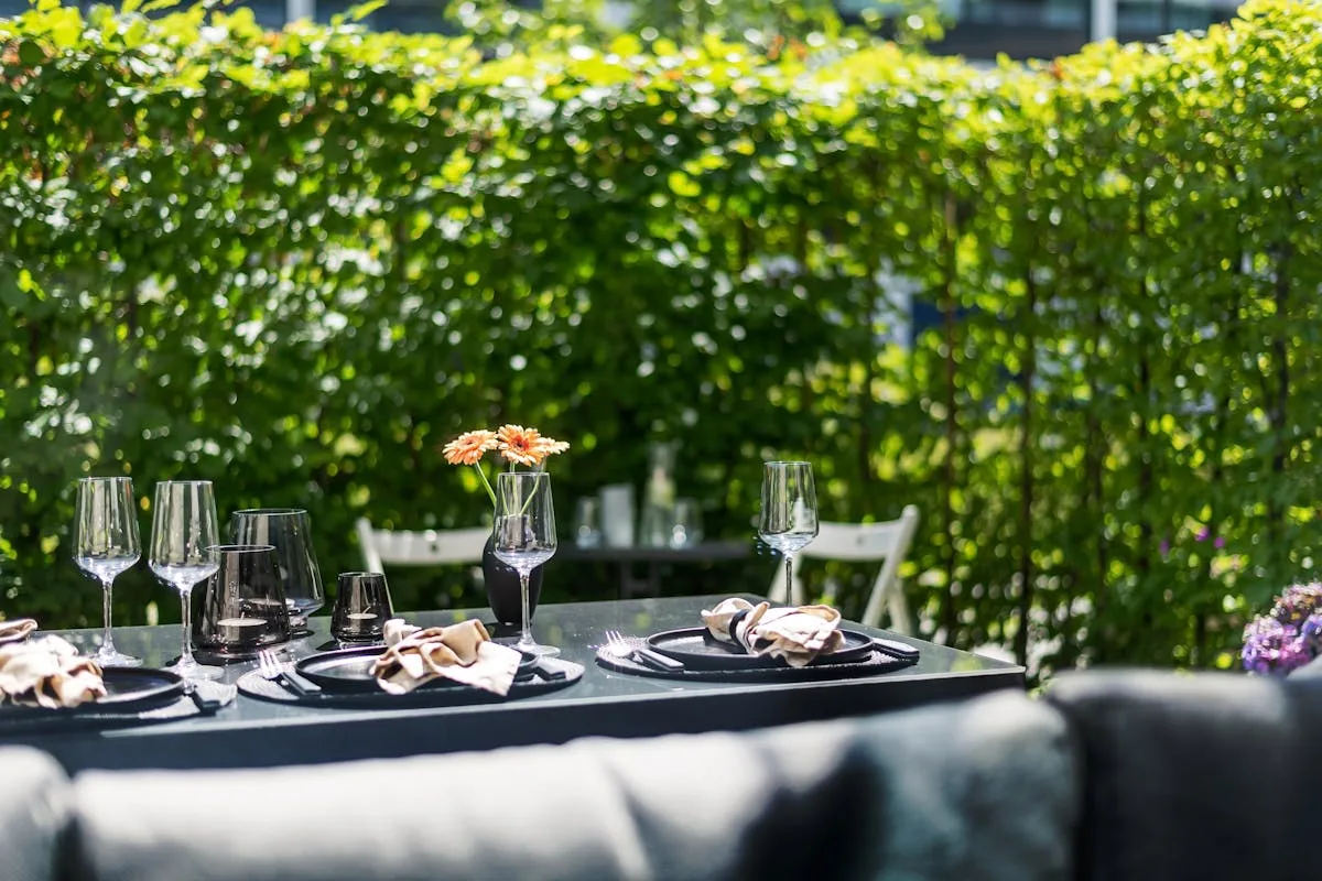 Prince Albert restaurants, outdoor dining at a Karoo olive farm